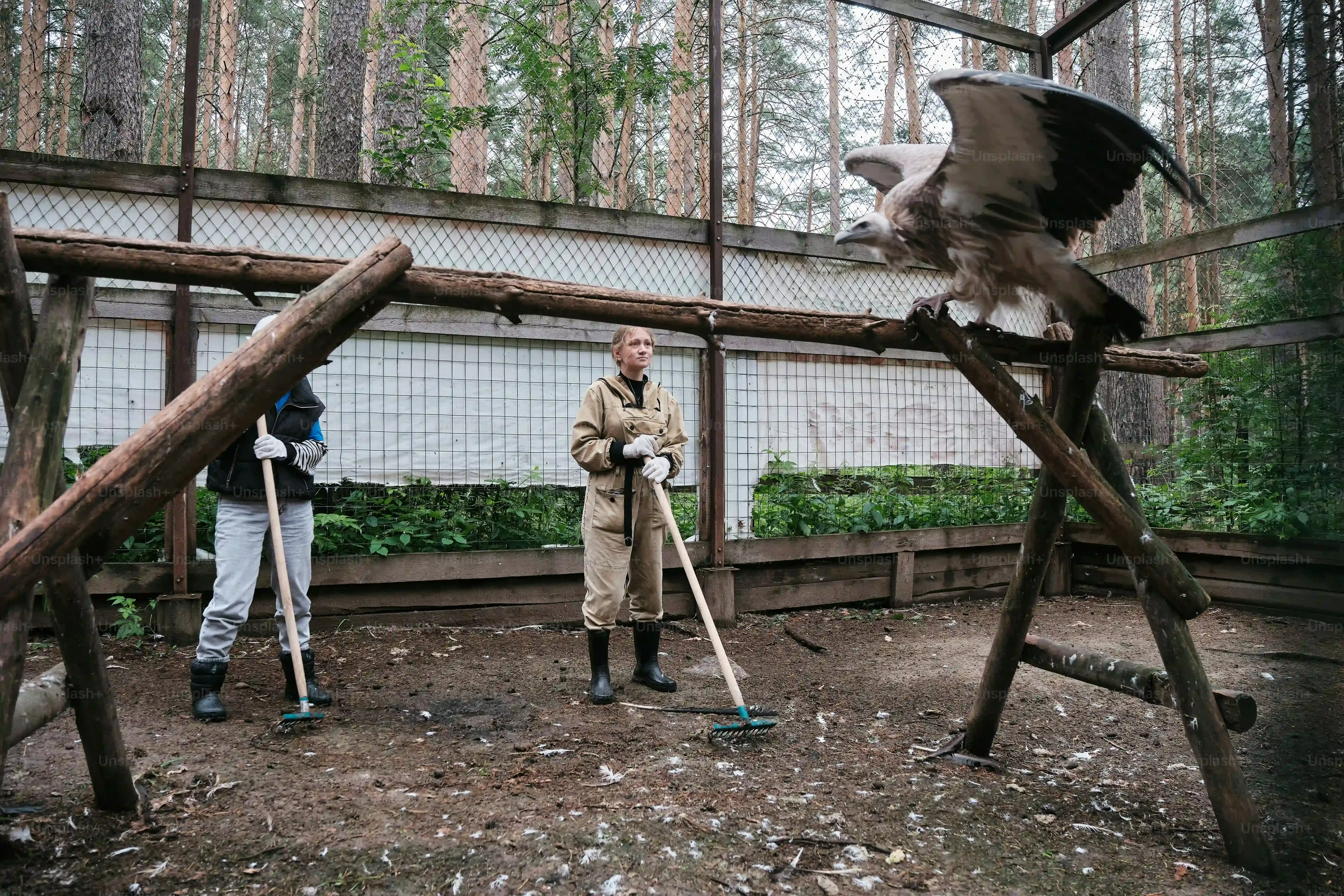 失敗しない！猫 ブリーダー 熊本で理想の子猫を見つける【信頼ガイド】